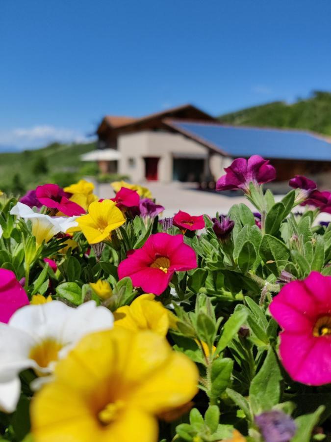 Bio Agritur Al Bait Villa Spormaggiore Exteriör bild